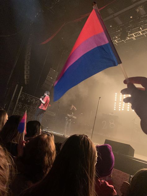 Miko Aesthetic, Bi Pride Aesthetic, Bi Flag, Young Miko, Bisexual Flag, Flag Photo, Lou Lou, Louis Williams, Love On Tour