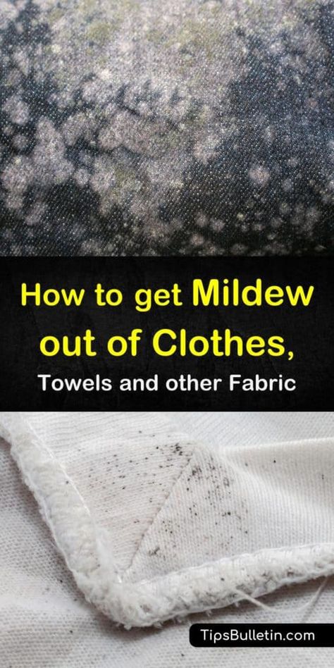 Mold Out Of Clothes, Mold On Clothes, Remove Mold Stains, Mildew Remover, Mildew Stains, Cleaning Mold, Deep Cleaning Tips, Household Cleaning Tips, Cleaning Recipes