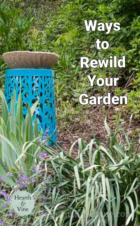 Wilding Garden, Wild Landscaping, Rewilding Garden, Wild Garden Ideas, Natural Gardens, Homesteading Diy, Wild Garden, Wildlife Gardening, Wildlife Habitat