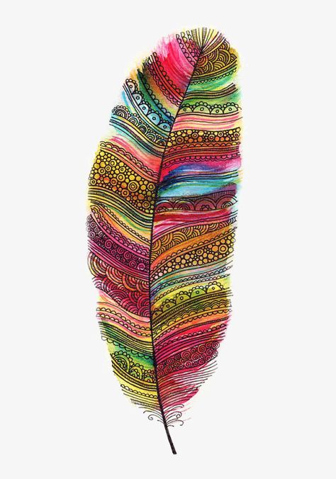 Rainbow Feather, Feather Drawing, طابع بريدي, Watercolor Feather, Coloured Feathers, Feather Painting, Feather Crafts, Zentangle Drawings, Feather Art