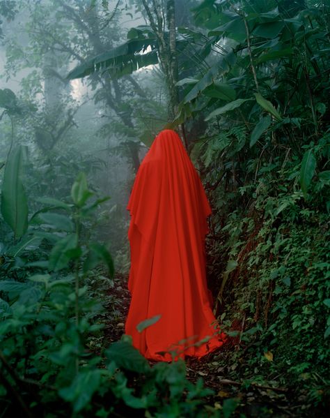 Surreal Moments Composed with Familiar Objects by Photographer Elspeth Diederix | Colossal Red Cloak, The Adventure Zone, Colossal Art, Photographie Inspo, Film Inspiration, Foto Inspiration, Little Red Riding Hood, Red Riding Hood, Photography Inspo