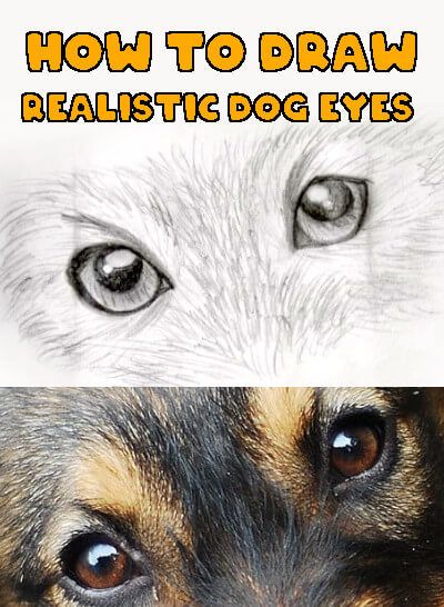 Learn how to draw dog eyes in 10 easy steps. Realistic dog eyes drawing tutorial using a photograph as a reference. How To Draw Dogs Tutorials, Drawing Animal Eyes Step By Step, How To Draw Dog Eyes Step By Step, Dogs Eyes Drawing, Dog How To Draw, Drawing Dog Eyes, Dog Drawing Tutorial Step By Step, How To Draw Dog Face, How To Draw Dog Eyes