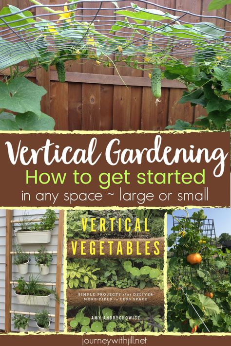 Growing vertical vegetables doesn't require a large garden. You can grow vertically in raised beds, containers, or your garden bed. These vertical gardening tips will get you started, and this DIY gardening book, Vertical Vegetables, will help you DIY vertical gardening no matter your space and budget. #verticalgardening #verticalgarden Grow Vertically, Vertical Container Gardening, Diy Container Gardening, Funny Vine, Vertical Vegetable Garden, Vertical Herb Garden, Vertical Gardening, Meteor Garden 2018, Large Garden