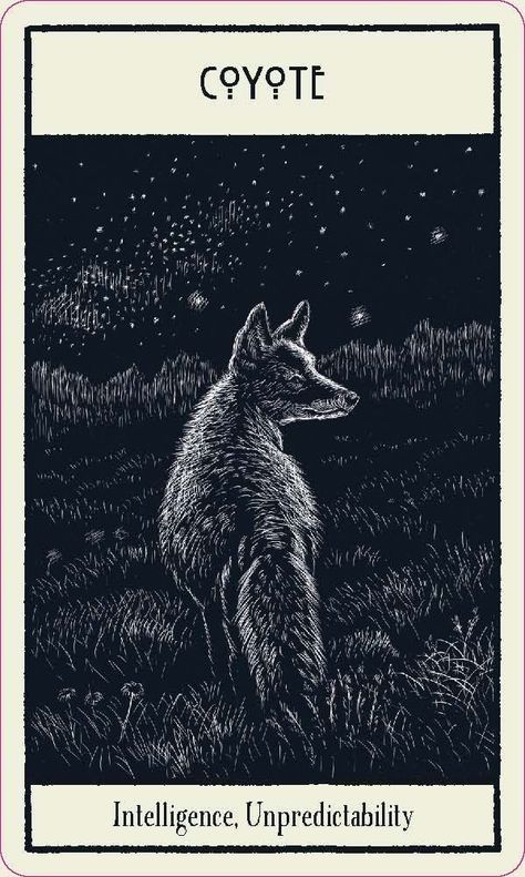 Untamed Spirit Oracle Cards - Coyote Coyote Animal, Cowboy Poetry, Watership Down, Animal Symbolism, Canine Art, Urban Fantasy, Oracle Cards, Black Dog, Spirit Animal