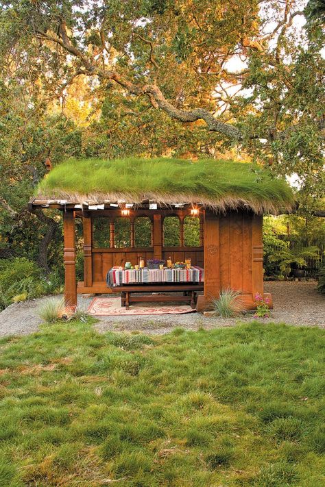 Sod Roof, Green Roof System, Pool Shed, Green Facade, Greenhouse Shed, Home Design Magazines, Living Roofs, Garden Rooms, Patio Roof