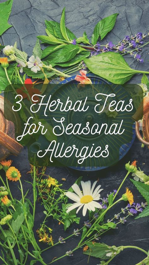 Herbal Tea For Seasonal Allergies Diy Allergy Relief, Tea For Allergies, Natural Allergy Relief Remedies, Herbs For Allergies, Seasonal Allergy Relief, Natural Allergy Relief, Fall Allergies, Home Remedies For Allergies, Natural Remedies For Migraines