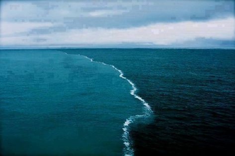 Sea barrier miracle in the Gulf of Alaska-2 oceans meet, but do not mix Skagen, Two Oceans Meet, Gulf Of Alaska, Glaciers Melting, Skagen Denmark, Image Nature, Alaskan Cruise, North Sea, Natural Phenomena