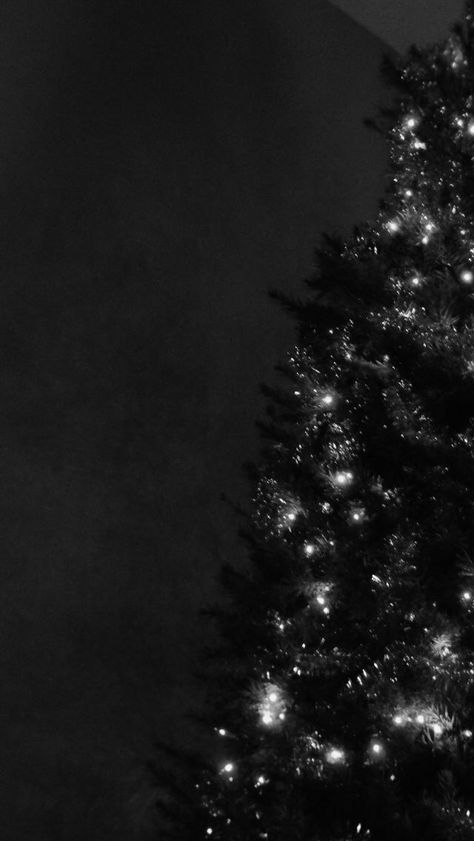 Winter Goth Aesthetic Photos - Dark Christmas Vibes Dark Christmas Aesthetic Wallpaper, Gothic Christmas Aesthetic, Black Christmas Decor, Winter Goth, Christmas Lockscreen, Gothic Christmas, Xmas Wallpaper, Christmas Aesthetic Wallpaper, Dark Christmas