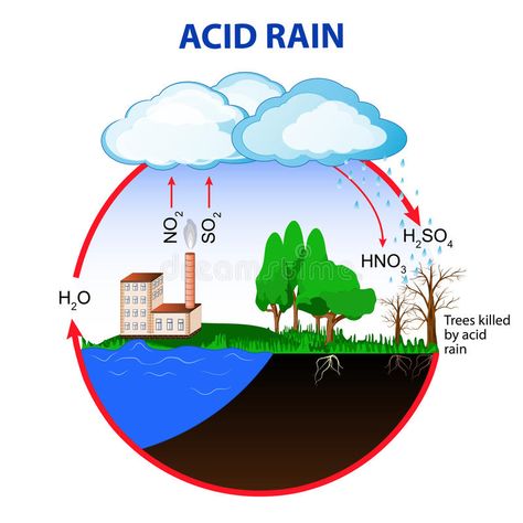 Rain Illustration, Chemistry Projects, Rain Pictures, Ecology Design, Acid Rain, College Life Hacks, Ozone Layer, Water Molecule, Water Cycle