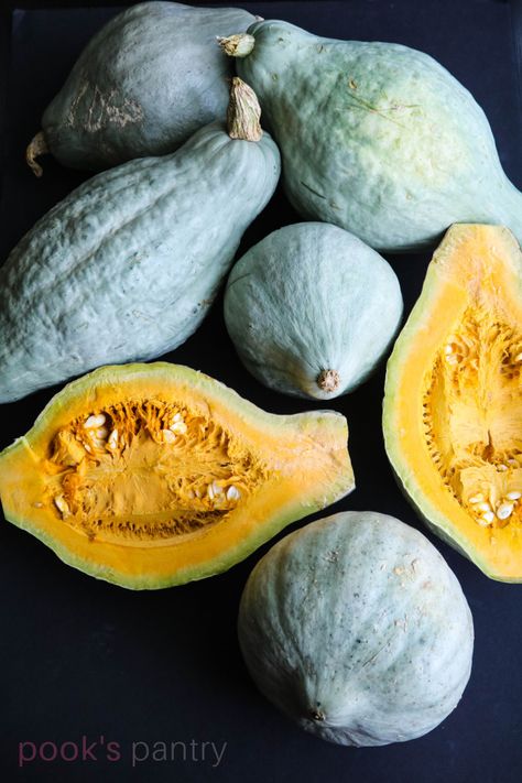 Blue Hubbard Squash Bread, Instapot Squash Recipes, Stuffed Blue Hubbard Squash Recipes, Trumpet Squash Recipes, Guatemalan Blue Squash Recipes, Baked Winter Squash Recipes, Blue Hubbard Squash Soup, Roasted Hubbard Squash, How To Cook Blue Hubbard Squash