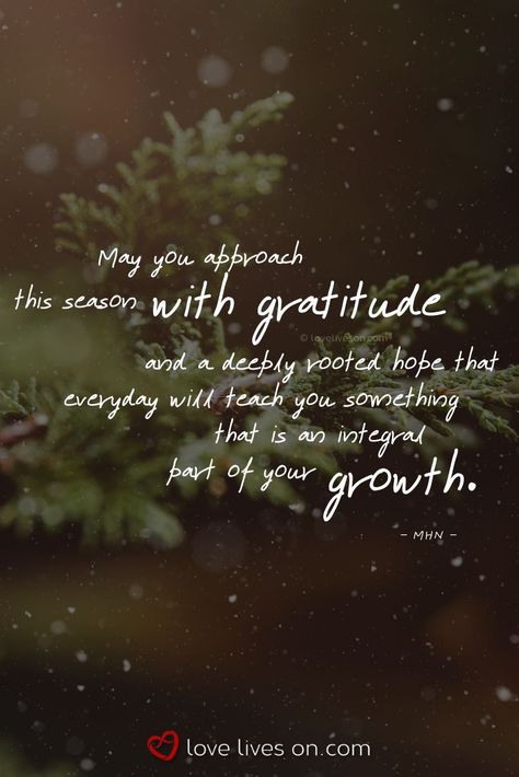 Christmas Healing Quotes, Difficult Christmas Quotes, Christmas Grateful Quotes, Deep Christmas Quotes, Christmas Day Quotes Inspirational, Christmas Spiritual Quotes, Quotes On Holidays, Grateful Christmas Quotes, Christmas Meaningful Quotes