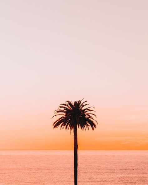 100% making it a point to drive down the coast more often and watch the sunset in different places (Encinitas is ALWAYS a good idea 💁🏻‍♀️).… Beachy Aesthetic, Photo Wall Collage, Beach Landscape, Beach Vibes, Beach Aesthetic, Beach Vibe, Sunrise Sunset, Pretty Pictures, Palm Tree