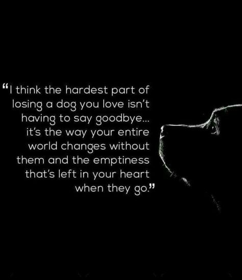 Losing A Dog Quotes, Losing A Pet Quotes, Pet Quotes Dog, Dogs Quotes, Miss My Dog, Pet Quotes, Dog Poems, Art Final, Dog Quotes Love