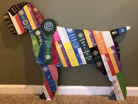 Show ribbon dog Ribbon Wreath Ideas, Ribbon Display Ideas, Rosette Display, Award Ribbon Display, Summer Swim Team, Show Ribbon Display, Swim Team Ideas, Horse Memory, 4h Project Ideas