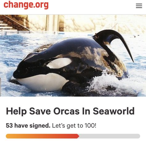 Orcas in SeaWorld need your help. Sign this petition today! Orcas In Captivity, Tilikum Orca, Orca Whales, Apex Predator, Dental Problems, Killer Whales, Ocean Animals, Sea World, Animal Rights