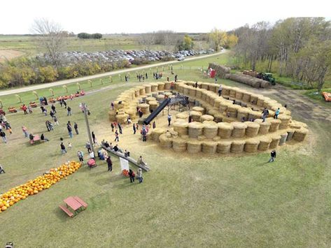 Meandher Creek Pumpkin Patch opens tomorrow Pumpkin Patch Business, Pumpkin Patch Activities, Agritourism Farms, Farm Tourism, Hay Bale Art, Pumpkin Patch Corn Maze, Duck Race, Pumpkin Patch Farm, Backyard Sports