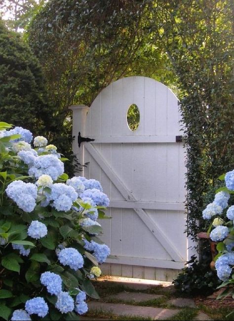 Hamptons Style Garden, Decorating With Blue, Coastal Home Exterior, Snowball Viburnum, Coastal Exterior, Blue Ceilings, Provence Lavender, Coastal Interiors Design, Blue Paint Colors