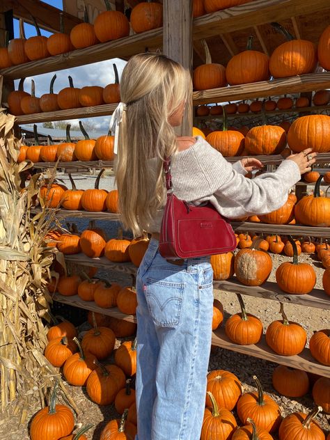 Pumpkins, Fall Outfit