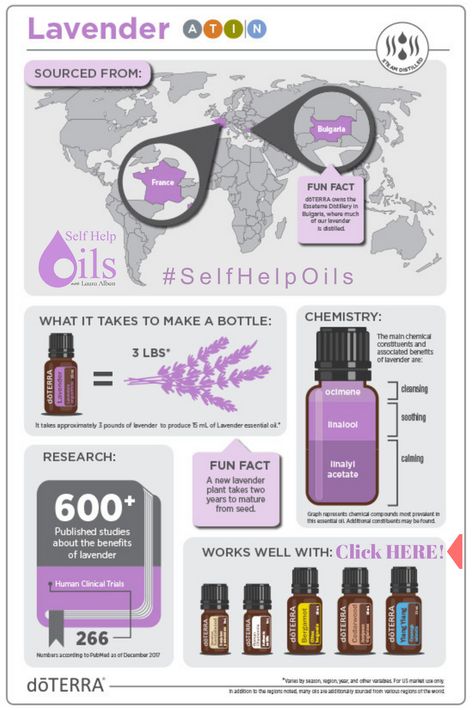 Lavender Doterra, Essential Oils Properties, Doterra Blends, Doterra Lavender, Lavender Benefits, Doterra Business, Aloe Gel, Doterra Essential Oils Recipes, Doterra Oils