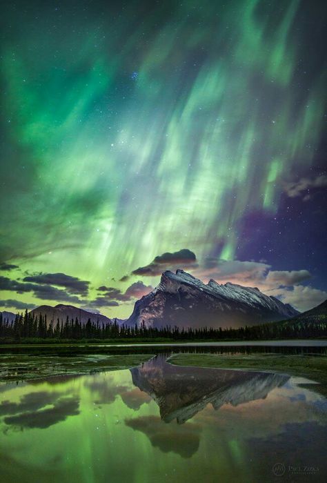 aurora, northern lights at the Banff National Park in Alberta, Canada.... Northern Lights Canada, Canada Banff, John Price, Aurora Borealis Northern Lights, The Aurora, Rocky Mountain National, Banff National Park, Beautiful Sky, Bank Holiday