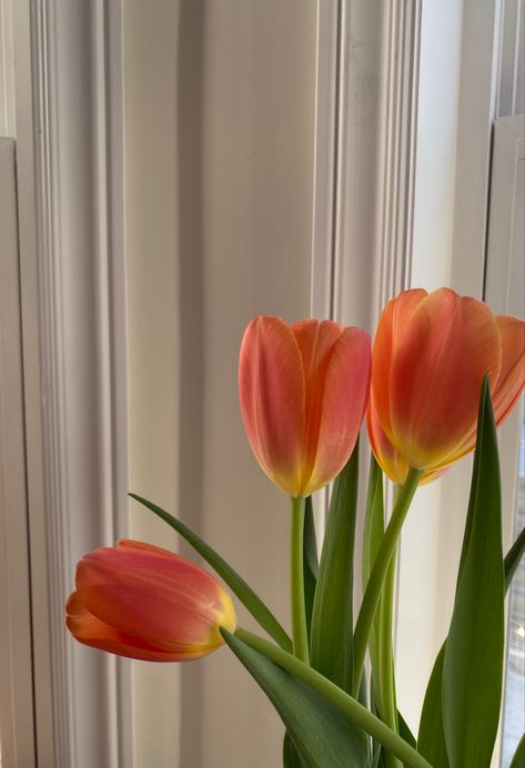 Flower Hearts, Aesthetic Artsy, Flowers And Hearts, The Language Of Flowers, Fleur Orange, Orange Tulips, Boquette Flowers, Flowers Petals, Nothing But Flowers