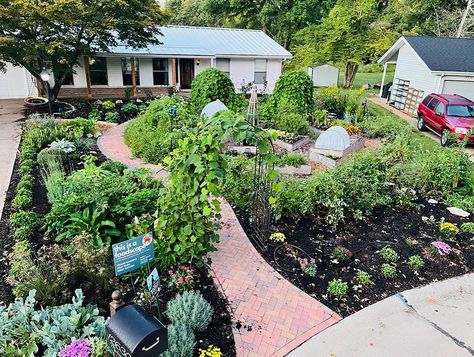 Front Yard Forest, Edible Landscaping Front Yard, Raised Bed Garden Design, Growing Fruit Trees, Modern Farmer, Potager Garden, Edible Landscaping, Food Forest, Front Yard Garden