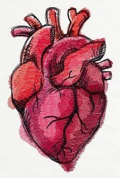 Human Heart Drawing, Meaningful Drawings, Heart Illustration, Heart Drawing, Easy Doodle Art, Human Heart, Dessin Adorable, Hand Art Drawing, Art Inspiration Painting