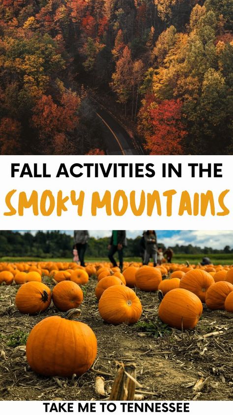 Fall In The Smoky Mountains, Fall In East Tennessee, Fall In Gatlinburg Tn, Smoky Mountains Fall, Gatlinburg Fall, Fall Tennessee, Fall Foliage Road Trips, Smokey Mountains National Park, Tennessee Road Trip