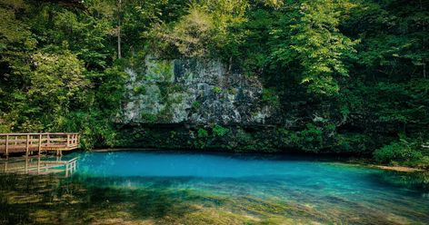 Travel Missouri, Missouri Hiking, Blue Springs Missouri, Go Usa, Fishing Photography, Blue Hole, Hiking Dogs, Blue Spring, Nature Preserve