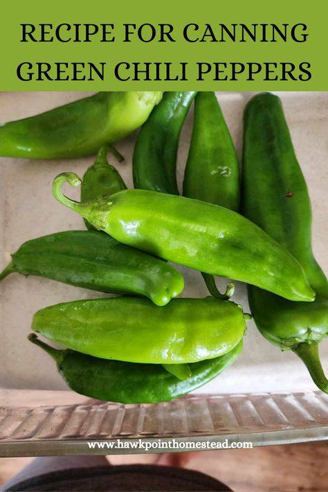 This recipe for how to can green chili peppers is a great way to preserve any kind of pepper that you have in the garden. It is an easy recipe and a great way to have your own canned peppers ready to use from the shelf any time! I love green chilis in a lot of recipes and so glad to be able to can my Anaheim peppers and make my own! What To Make With Green Chili Peppers, Canning Green Chilies, Canned Chili Peppers, Ways To Preserve Jalapeno Peppers, Canned Anaheim Peppers, Canning Diced Green Chilis, Canned Green Chili Recipes, Preserving Anaheim Peppers, Recipes For Anaheim Peppers