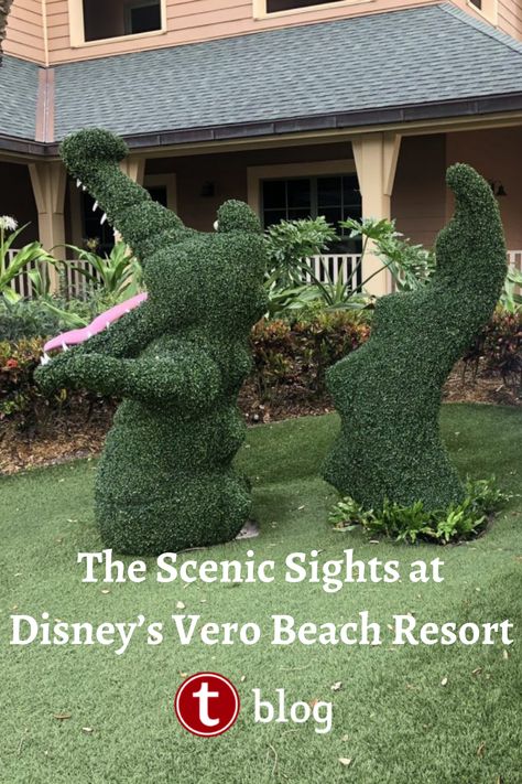 Come along for a photo tour of Disney's Vero Beach Resort. Vero Beach Disney, Disney Vacation Club, Vacation Club, Vero Beach, Disney Vacation, Beach Resort, Disney Vacations, Beach Resorts, Walt Disney World