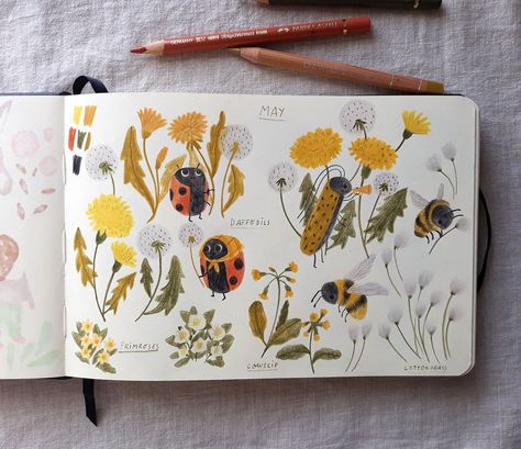 Book Illustration Art, Sketchbook Art Journal, Sketchbook Pages, Sketchbook Journaling, Sketchbook Inspiration, Now And Then, Pencil Illustration, Art Journal Inspiration, Botanical Illustration