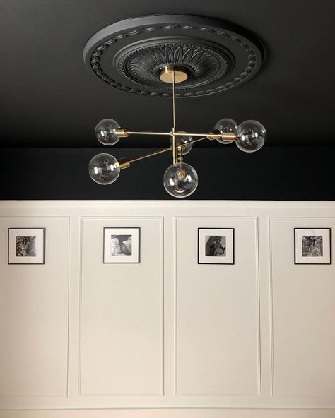 Lick on Instagram: “This is your sign to paint your ceiling black... @prettylittlevictorianreno has nailed their monochrome scheme using #White02 + #Black02…” Black Ceiling Ideas, Black Basement Ceiling, Color Block Walls, Black Ceilings, Black Ceiling Tiles, Plaster Ceiling Rose, Black Hallway, Trey Ceiling, Dark Ceiling