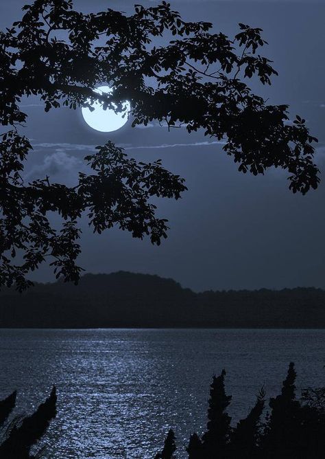 Romantic Moon Light ~ ♥ Shoot The Moon, Moon Shadow, Blue Bay, Moon Photos, Image Nature, Moon Pictures, Incubus, The Full Moon, Beautiful Moon