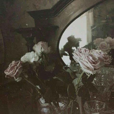 A Mirror, Mirror, Flowers