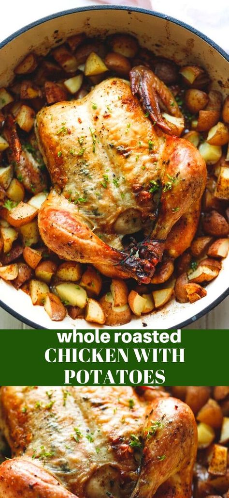 Whole Roasted Chicken With Potatoes, healthy and hearty, homemade, perfect for a family dinner. #chickenrecipe #dinnerrecipe #chicken #dinner #potato Oven Roasted Whole Chicken With Potatoes And Carrots, Roasted Chicken Over Potatoes, While Roasted Chicken Recipes, Dinner Ideas Whole Chicken, Whole Chicken In The Oven With Potatoes, Oven Roasted Whole Chicken And Potatoes, Instant Pot Whole Chicken And Potatoes, Roast Chicken And Potatoes Recipes, Oven Roasted Chicken Whole With Potatoes