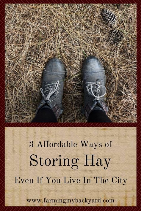 Storing hay bales in the city takes some creativity but small space hay storage is possible for urban farmers. Here are 3 ways to keep it clean. Raising Rabbits For Meat, Hay Storage, Self Sufficient Homestead, Rabbit Farm, Meat Rabbits, Goat Care, Homesteading Diy, Raising Goats, Urban Farmer