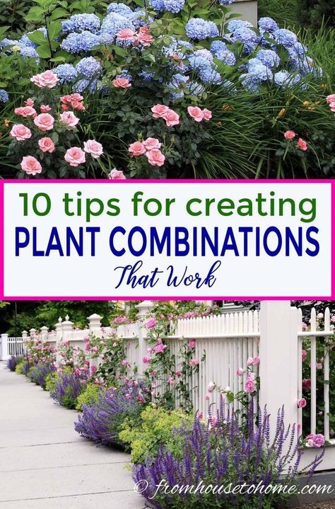 Flower Gardening Tips, Wild Gardening, Garden Perennials, Spring Gardens, House To Home, Planting Guide, Fantasy Garden, Household Plants, Garden Hacks