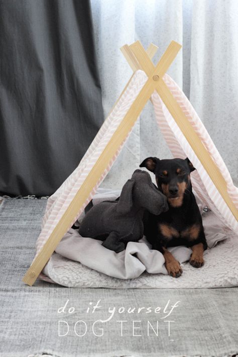 Dog Tent Bed, Dog Teepee, Dogs Diy Projects, Dog Tent, Tent House, Diy Tent, Dog House Diy, Diy Dog Bed, Dog Rooms