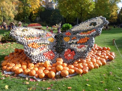 Kürbisaustellung in Ludwigsburg (Germany) Ludwigsburg Germany, Pumpkin Patch, Germany