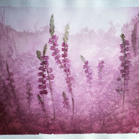 Heather Flower Watercolor, Heather Watercolor, Bee Ceramics, Heather Flower, Heather Plant, Watercolor Eyes, Watercolour Flowers, Watercolour Inspiration, Paint Night