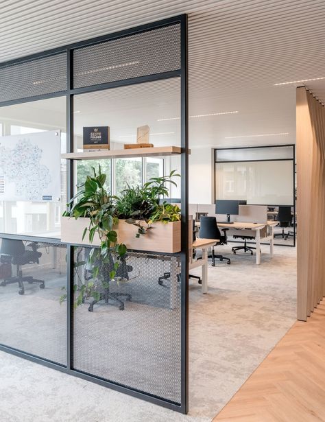 Gamma Offices - Antwerp Workplace Lighting, Modern Hallway Lighting, Modern Office Space Design, Led Office Lighting, Open Concept Office, Open Office Design, Led Office, Lighting Design Ideas, Modern Offices