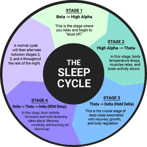 Rem Sleep Cycle, Book Infographic, Human Body Temperature, Natural Face Cleanser, Stages Of Sleep, Nursing School Studying, Rem Sleep, Sleep Issues, Lose Pounds