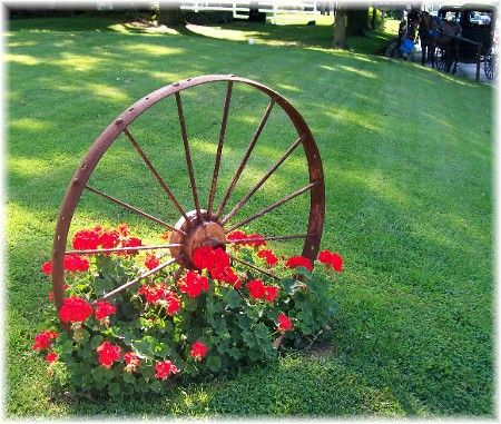 Wagon wheel with Geraniums Colorful Setting, Country Garden Decor, Spring Decor Diy, Red Geraniums, Spring Decoration, Garden Yard Ideas, Front Yard Garden, Audio Player, Wagon Wheel