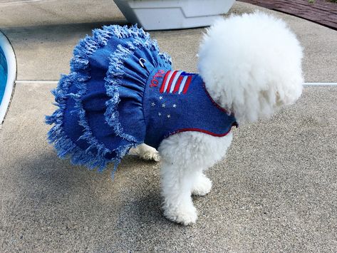 "We designed this fashionable couture blue dog denim dress using the best distressing techniques along with embroidery and other magnificent machinery. It features a Stars & Stripes Theme. A finished border has been added to the garment on the upper portions, while tufts of fringe accent the triple layer skirt hems. A beautiful whimsical American flag accents the back and your pet's name is FREE on the garment or you could order it blank without the name. D-ring for leash attachment and Velc Female Dog Clothes, Dog Dress Pattern, Dog Outfits, Fleece Dog Coat, Patriotic Dresses, Patriotic Dog, Layer Skirt, Dog Clothes Patterns, Dog Dress