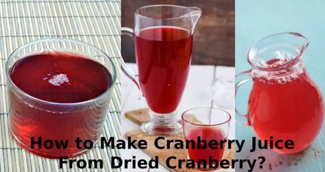 The receipes on how to make cranberry juice from dried cranberries using blender, juicer or simply boiling, is all you need to know to be an expert. Dry Cranberries, Apple Cranberry Pie, High Protein Dishes, Chill Drinks, Dried Berries, Free Fruit, Frozen Cranberries, Apple Cranberry, Fresh Cranberries