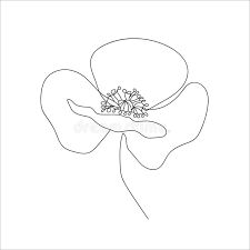 Rock Sketch, Poppy Illustration, Element Drawing, Line Drawing Abstract, Poppies Flower, Poppy Drawing, Poppies Tattoo, Flower Symbol, Tattoo Templates