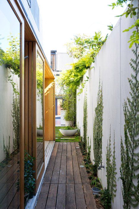 Row House Design, Sydney House, Terrasse Design, Victorian Terrace House, Side Yards, Courtyard Design, Backyard Privacy, Garden Vines, Backyard Pergola