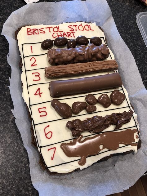 Bristol Stool Chart Cake, Bristol Stool, Stool Chart, Bristol Stool Chart, Stool Sample, Cake Ideas, Bristol, Sweet Treats, Birthday Cake