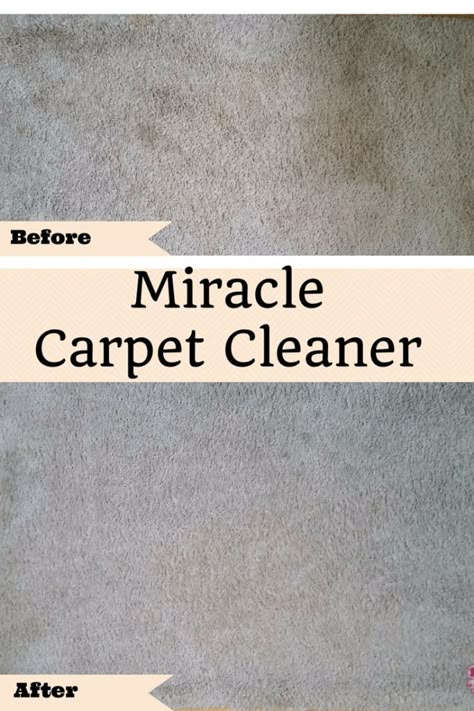 Miracle DIY Carpet Cleaner Diy Dry Carpet Cleaner, Cleaning Carpets With Machine, All Natural Carpet Cleaner, Diy Cleaning Solution For Carpet Cleaner, Thieves Carpet Cleaner Recipe, Spot Carpet Cleaner Diy, Homemade Carpet Cleaner For Shampooer, Cleaning Carpets Without Machine, How To Make Carpet Cleaner